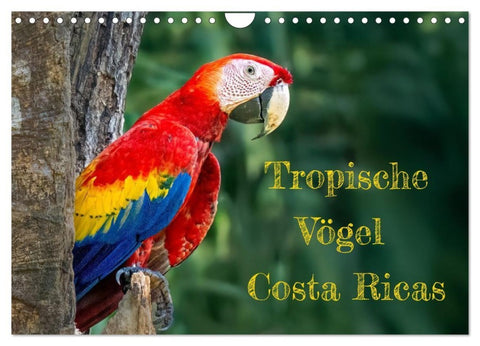 Tropische Vögel Costa Ricas (Wandkalender 2027 DIN A4 quer), CALVENDO Monatskalender