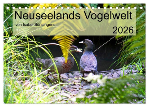 Neuseelands Vogelwelt (Tischkalender 2026 DIN A5 quer), CALVENDO Monatskalender