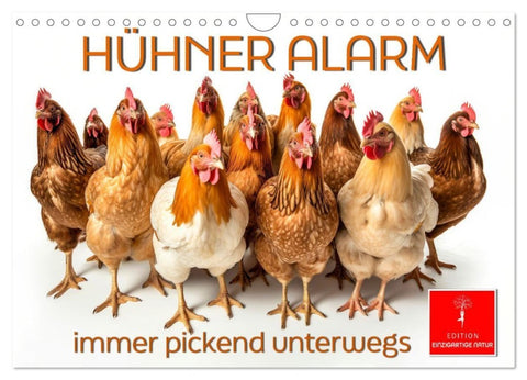 Hühner Alarm (Wandkalender 2027 DIN A4 quer), CALVENDO Monatskalender