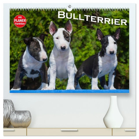 Bullterrier (hochwertiger Premium Wandkalender 2026 DIN A2 quer), Kunstdruck in Hochglanz