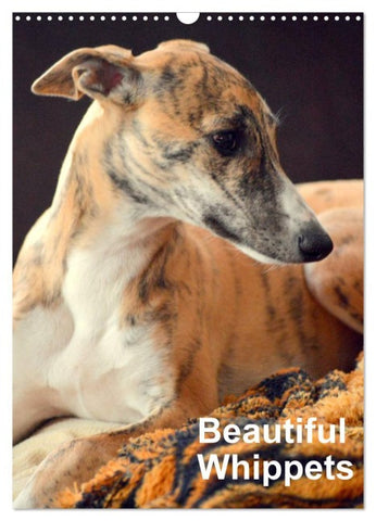 Beautiful Whippets (Wall Calendar 2026 DIN A3 portrait), CALVENDO 12 Month Wall Calendar