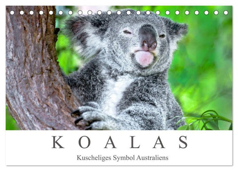 Koalas - Kuscheliges Symbol Australiens (Tischkalender 2027 DIN A5 quer), CALVENDO Monatskalender