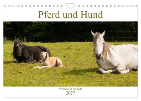 Pferd und Hund - Vierbeinige Freunde (Wandkalender 2027 DIN A4 quer), CALVENDO Monatskalender