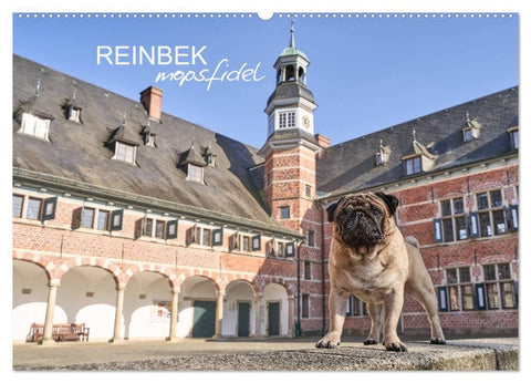 Reinbek mopsfidel (Wandkalender 2027 DIN A2 quer), CALVENDO Monatskalender