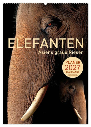 ELEFANTEN - Asiens graue Riesen (Wandkalender 2027 DIN A2 hoch), CALVENDO Monatskalender