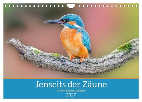 Jenseits der Zäune (Wandkalender 2027 DIN A4 quer), CALVENDO Monatskalender