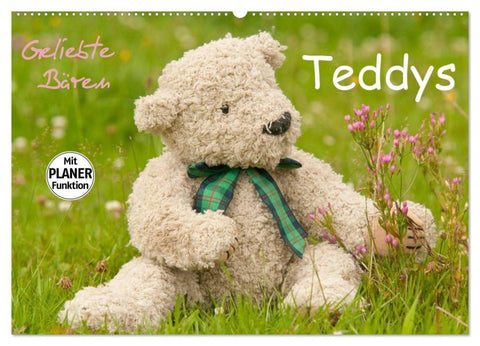 Geliebte Bären - Teddys (Wandkalender 2027 DIN A2 quer), CALVENDO Monatskalender