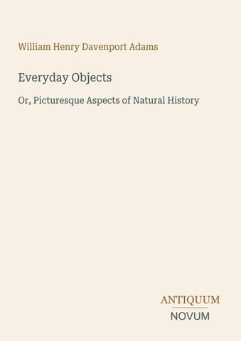 Everyday Objects
