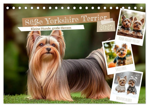 Süße Yorkshire Terrier - Kleine Hunde, große Herzen (Tischkalender 2027 DIN A5 quer), CALVENDO Monatskalender