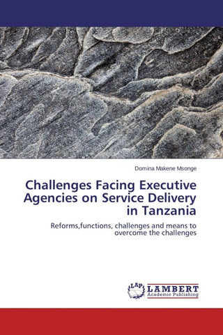 Challenges Facing Executive Agencies on Service Delivery in Tanzania