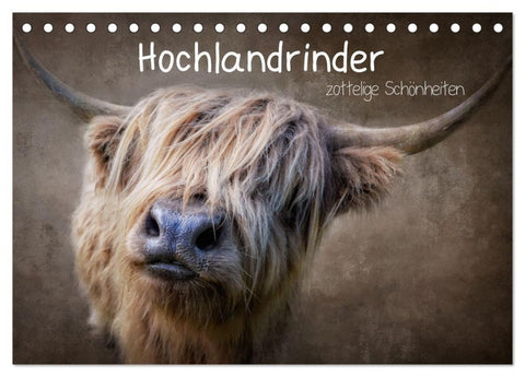 Hochlandrinder - Zottelige Schönheiten (Tischkalender 2027 DIN A5 quer), CALVENDO Monatskalender