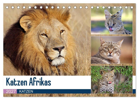 Katzen Afrikas (Tischkalender 2027 DIN A5 quer), CALVENDO Monatskalender