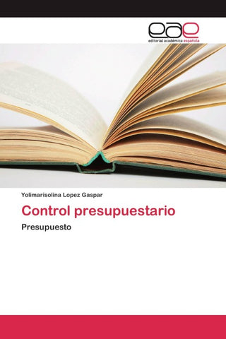 Control presupuestario