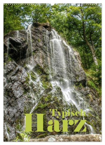 Typisch Harz (Wandkalender 2026 DIN A2 hoch), CALVENDO Monatskalender