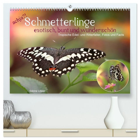 achja?! Schmetterlinge, exotisch, bunt und wunderschön (hochwertiger Premium Wandkalender 2027 DIN A2 quer), Kunstdruck in Hochglanz