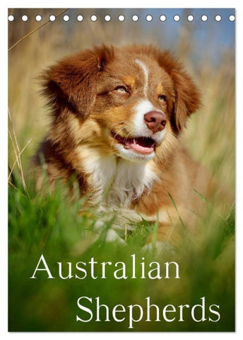 Australian Shepherds (Tischkalender 2026 DIN A5 hoch), CALVENDO Monatskalender