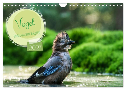 Vögel in heimischen Wäldern (Wandkalender 2027 DIN A4 quer), CALVENDO Monatskalender