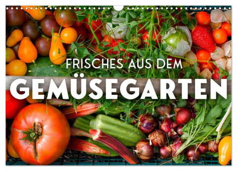 Frisches aus dem Gemüsegarten (Wandkalender 2026 DIN A3 quer), CALVENDO Monatskalender
