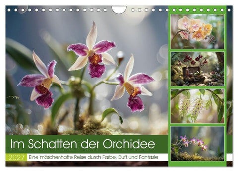 Im Schatten der Orchidee (Wandkalender 2027 DIN A4 quer), CALVENDO Monatskalender