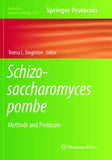 Schizosaccharomyces pombe