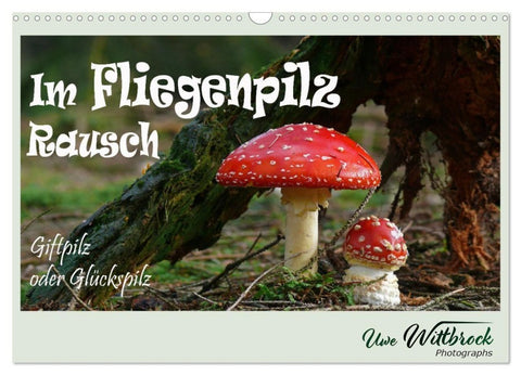 Im Fliegenpilz Rausch (Wandkalender 2027 DIN A3 quer), CALVENDO Monatskalender