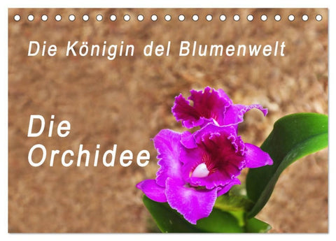 Die Königin der Blumenwelt, die Orchidee (Tischkalender 2026 DIN A5 quer), CALVENDO Monatskalender