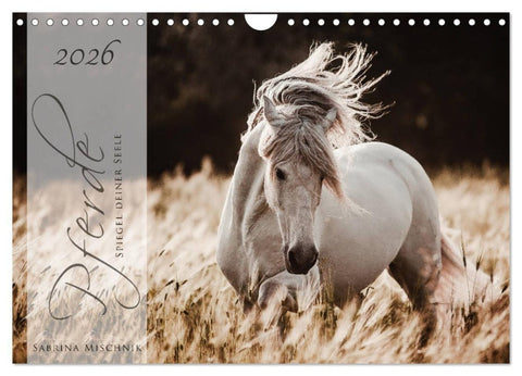 Pferde - Spiegel deiner Seele (Wandkalender 2026 DIN A4 quer), CALVENDO Monatskalender