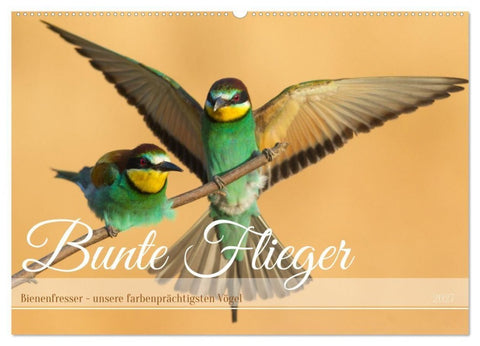 Bunte Flieger (Wandkalender 2027 DIN A2 quer), CALVENDO Monatskalender