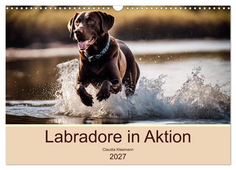 Labradore in Aktion (Wandkalender 2027 DIN A3 quer), CALVENDO Monatskalender