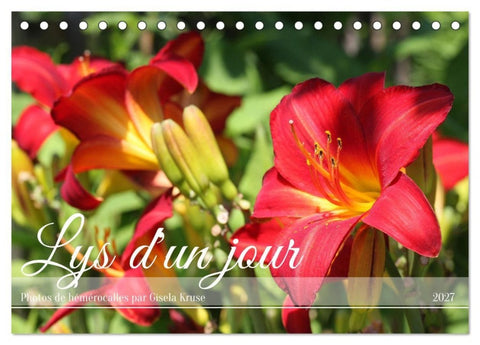 Lys d'un jour (Calendrier de bureau 2027 DIN A5 vertical), CALVENDO calendrier mensuel