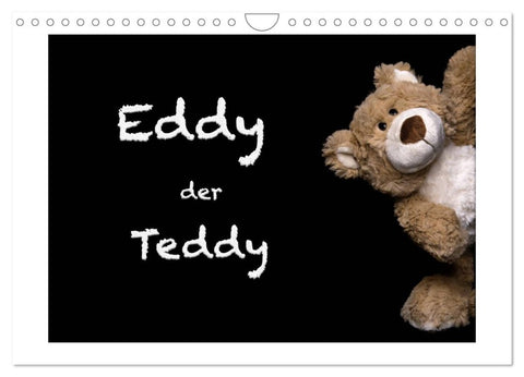 Eddy, der Teddy (Wandkalender 2026 DIN A4 quer), CALVENDO Monatskalender