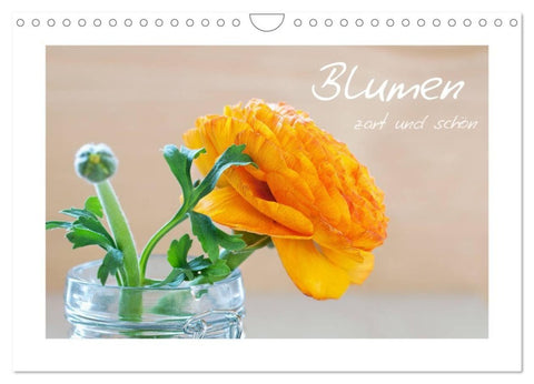 Blumen zart und schön (Wandkalender 2027 DIN A4 quer), CALVENDO Monatskalender