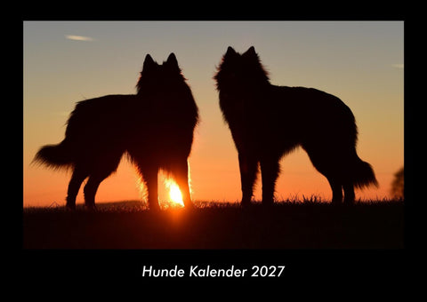 Hunde Kalender 2027 Fotokalender DIN A3