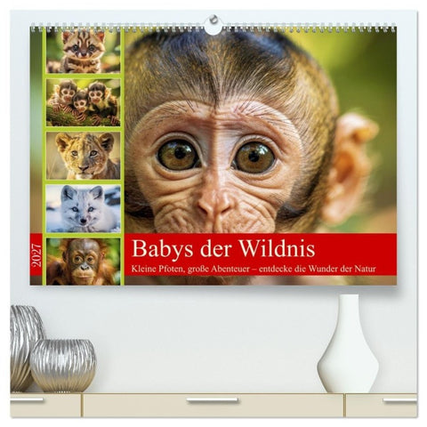 Babys der Wildnis (hochwertiger Premium Wandkalender 2027 DIN A2 quer), Kunstdruck in Hochglanz