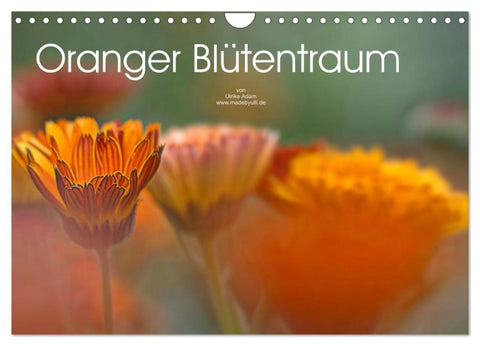 Oranger Blütentraum (Wandkalender 2026 DIN A4 quer), CALVENDO Monatskalender
