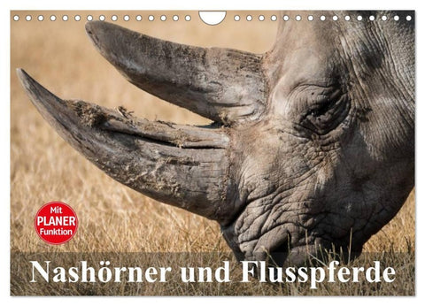 Nashörner und Flusspferde (Wandkalender 2027 DIN A4 quer), CALVENDO Monatskalender