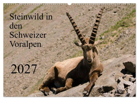 Steinwild in den Schweizer Voralpen (Wandkalender 2027 DIN A2 quer), CALVENDO Monatskalender