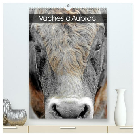 Vaches d'Aubrac (Calendrier mural haut de gamme 2027 DIN A2 horizontal), CALVENDO calendrier mensuel