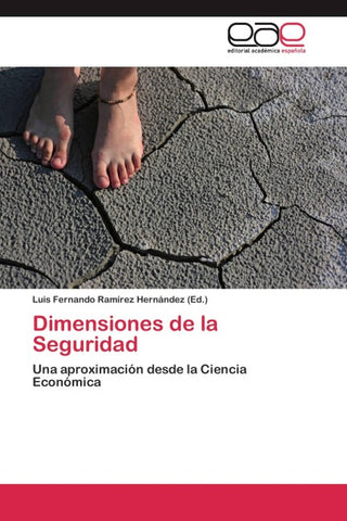 Dimensiones de la Seguridad
