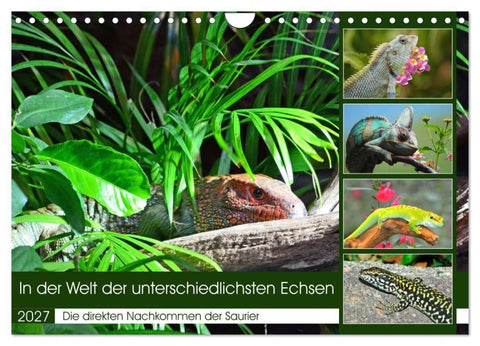 In der Welt der unterschiedlichsten Echsen (Wandkalender 2027 DIN A4 quer), CALVENDO Monatskalender