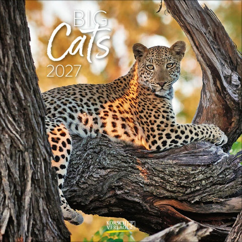 Big Cats 2027