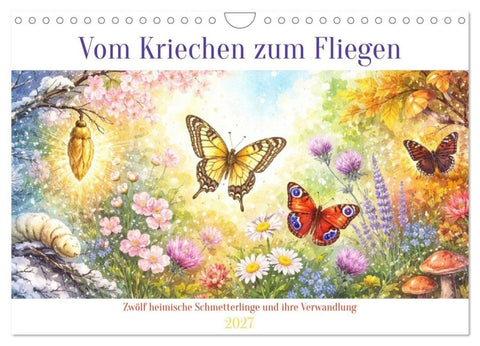 Vom Kriechen zum Fliegen (Wandkalender 2027 DIN A4 quer), CALVENDO Monatskalender
