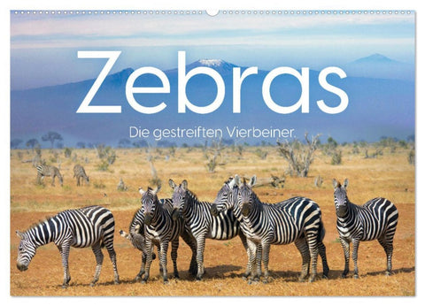 Zebras - Die gestreiften Vierbeiner. (Wandkalender 2026 DIN A2 quer), CALVENDO Monatskalender