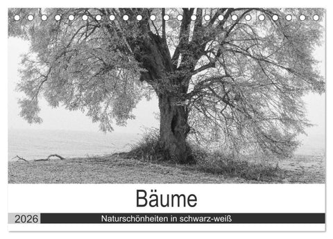 Bäume - Naturschönheiten in schwarz-weiß (Tischkalender 2026 DIN A5 quer), CALVENDO Monatskalender