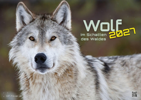 Wolf – Im Schatten des Waldes - 2027 - Kalender DIN A2