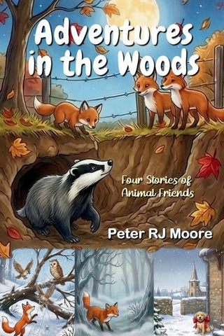 Adventures in the Woods