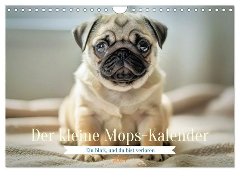Der kleine Mops-Kalender (Wandkalender 2027 DIN A4 quer), CALVENDO Monatskalender