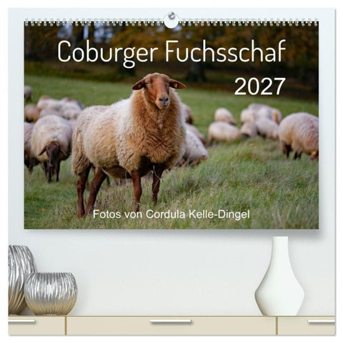 Coburger Fuchsschaf (hochwertiger Premium Wandkalender 2027 DIN A2 quer), Kunstdruck in Hochglanz