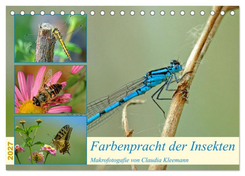 Farbenpracht der Insekten (Tischkalender 2027 DIN A5 quer), CALVENDO Monatskalender