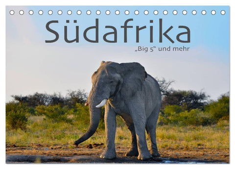 Südafrika - Big 5 und mehr (Tischkalender 2027 DIN A5 quer), CALVENDO Monatskalender